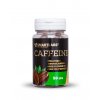 caffeine smartlabs
