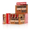 Carnitine 3000 Shot 20 x 60 1200 ml