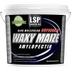 Waxy Maize Amylopectin 4000 g
