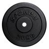 Litinový kotouč SINIS 20 kg