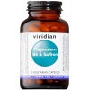 Magnesium B6 & Saffron 60 kapslí