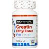 CEE Creatine ethyl ester StrongNutritions 250 kapslí