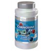 carnosine av starlife