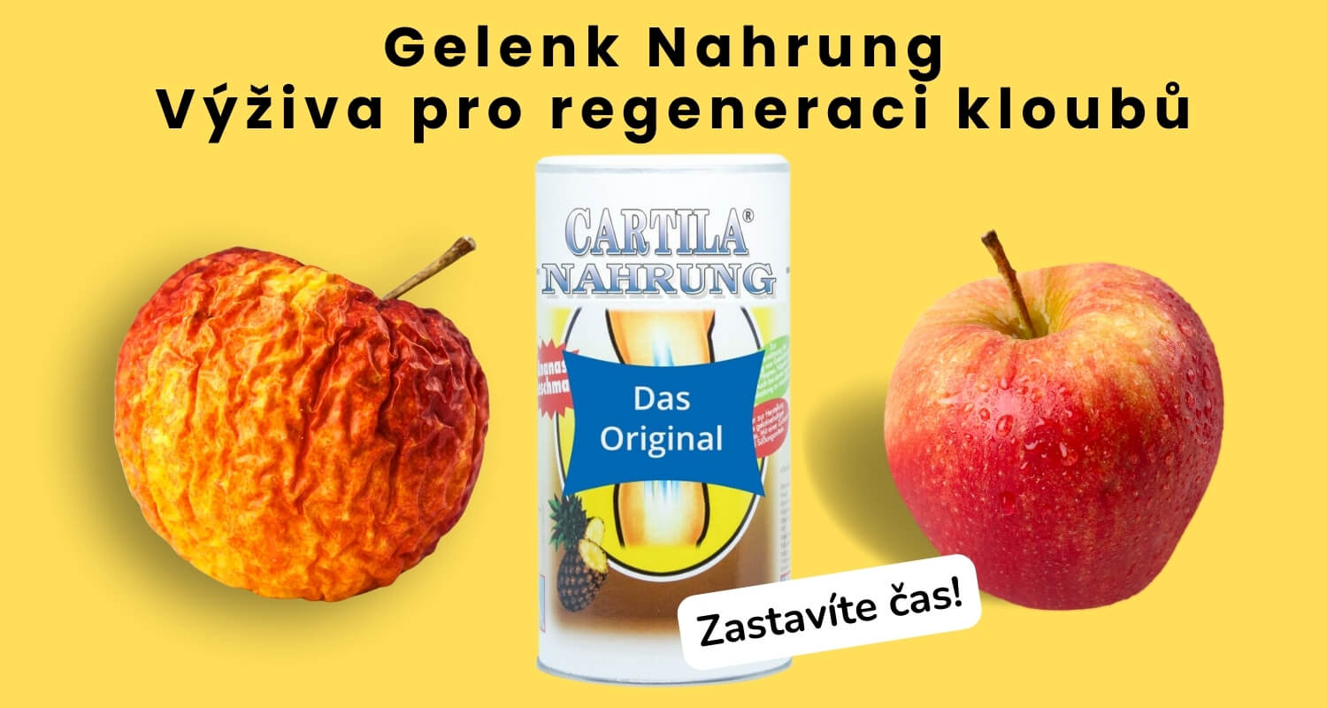 Gelenk Nahrung - Výživa pro regeneraci kloubů
