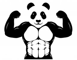                                     Fitpanda
                            