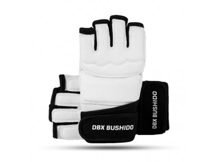 Rukavice na taekwondo DBX BUSHIDO DBX-T-1