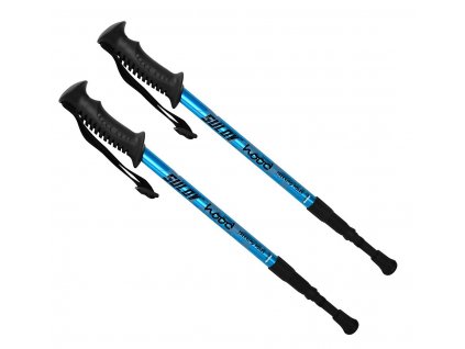 trek junior 2 a 1