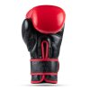 Boxerské rukavice DBX BUSHIDO Warrior RED (Veľkosť 10oz.)