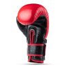 Boxerské rukavice DBX BUSHIDO Warrior RED (Veľkosť 10oz.)