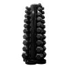 29525 body solid hexagon dumbbell set 1 10kg set parov jednorucnych ciniek so stojanom