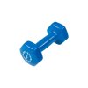 body solid vinyl dumbbells 2x5kg par vinylovych ciniek2