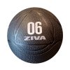 ZIVA Performance Medicine labda 6kg