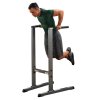 Body Solid GDIP59 Dips-Station