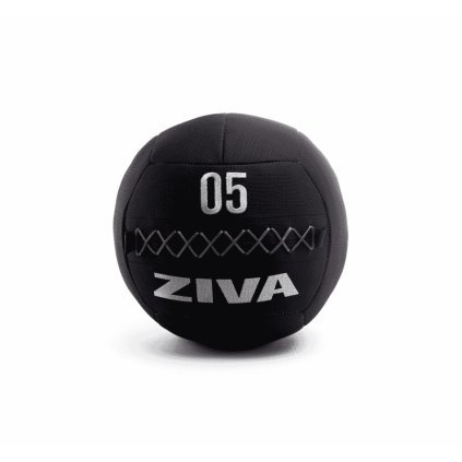 ZIVA ZVO Premium Wall Ball 4kg Black-Grey