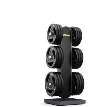 ZIVA EX Disc Storage Station stojan na olympijské kotouče
