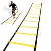 Žebřík FIT PLUS Agility 5 m