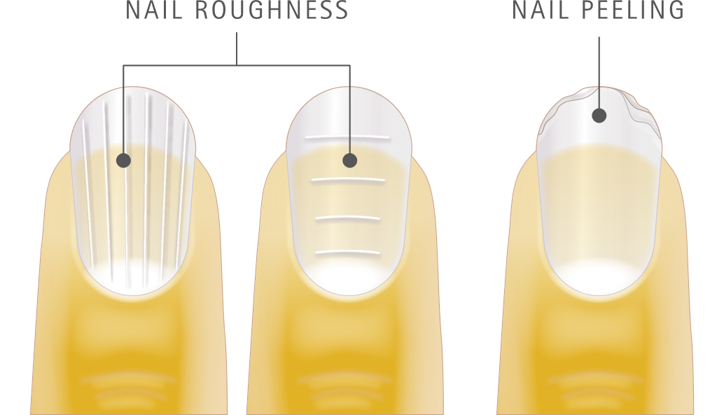 verisol kolagen2 (1).png