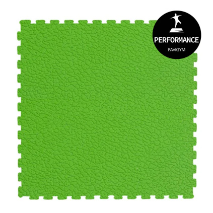 pERFORMANCE PAVIGYM