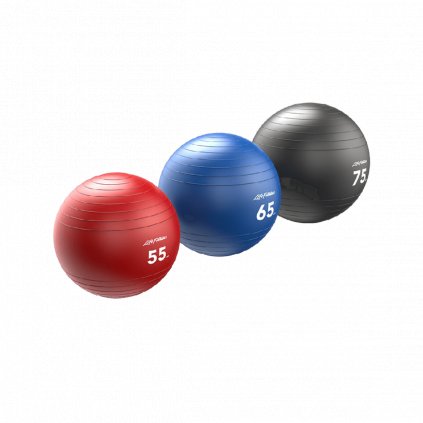 Life Fitness Stability Ball, 55 cm