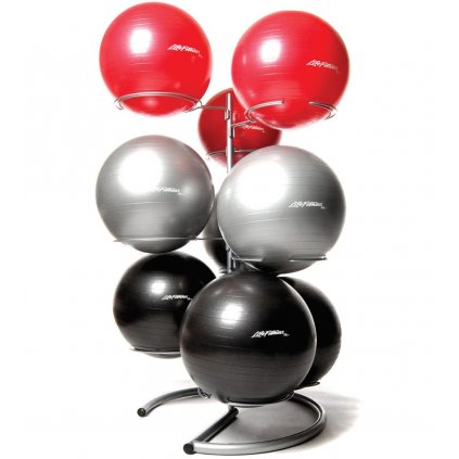 Life Fitness Stability Ball Rack