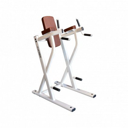 cybex-ion-dip-leg-raise