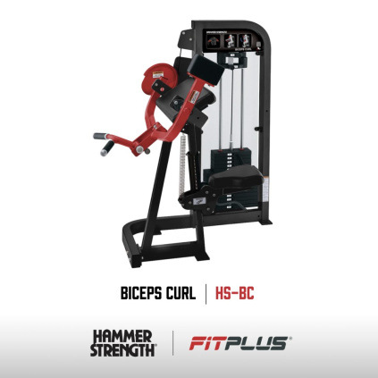 Hammer Strength Select Biceps Curl