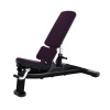 life-fitness-lavicka-signature-series-multi-adjustable-bench