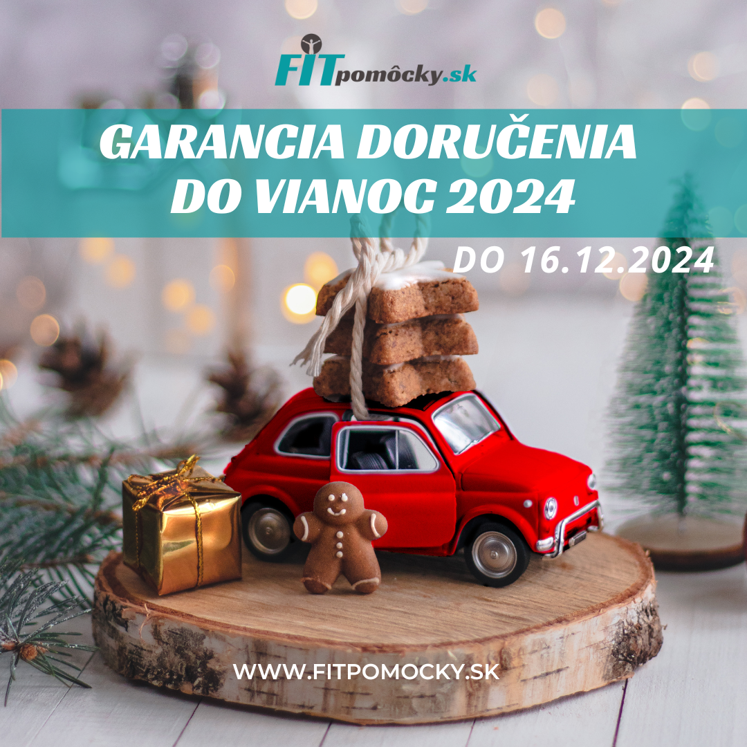 Doručenie do Vianoc 2024