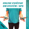 ONLINE SPS cvicenie sm system