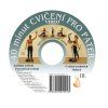 SM Systém DVD 40 minút cvičenia, Richard Smíšek