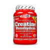 Amix Creatine Monohydrate (Velikost 500g)