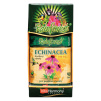 629 Echinacea90Zcela A kopie