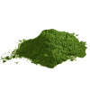 chlorella (1)