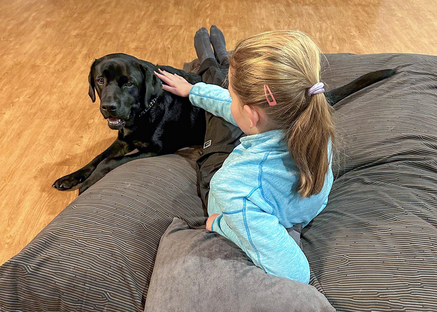 Napsala o Sharebagu – Hana Pirnerová