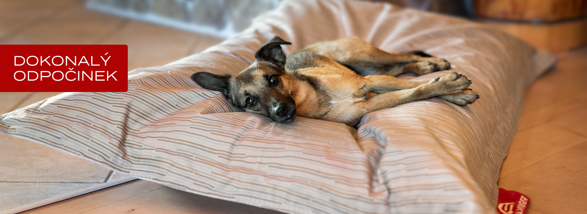 Pes pohodlně ležící na pelíšku SHAREBAG