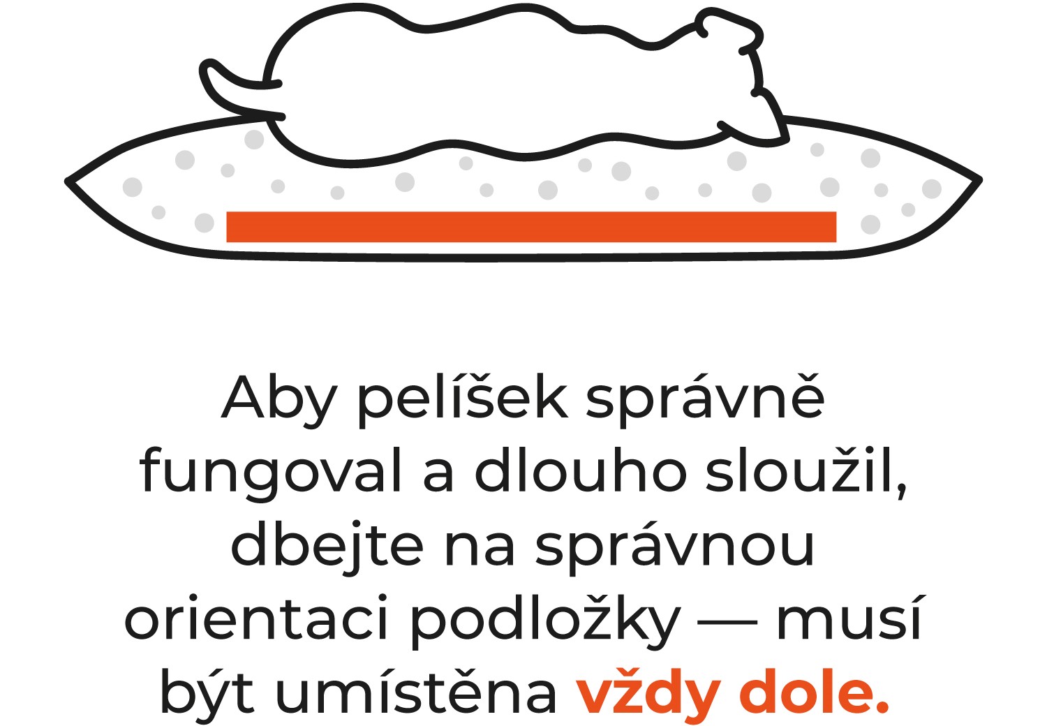 SHAREBAG_orthopedic_podlozka_dolu_o