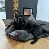 Pelíšek SHAREBAG® XL Anthracite/Aguti 180×140 cm