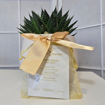 Picsart 25 11 20 18 16 03 846