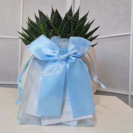 Picsart 25 11 20 18 16 29 715