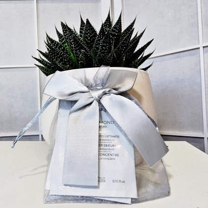 Picsart 25 11 20 18 14 52 431