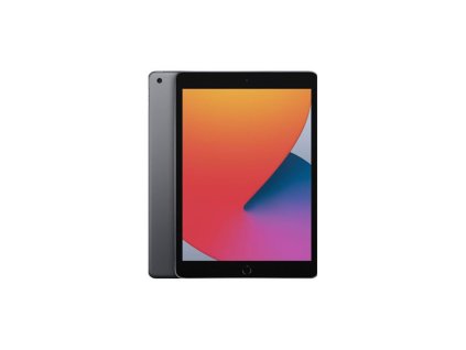iPad 8