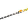 big 10