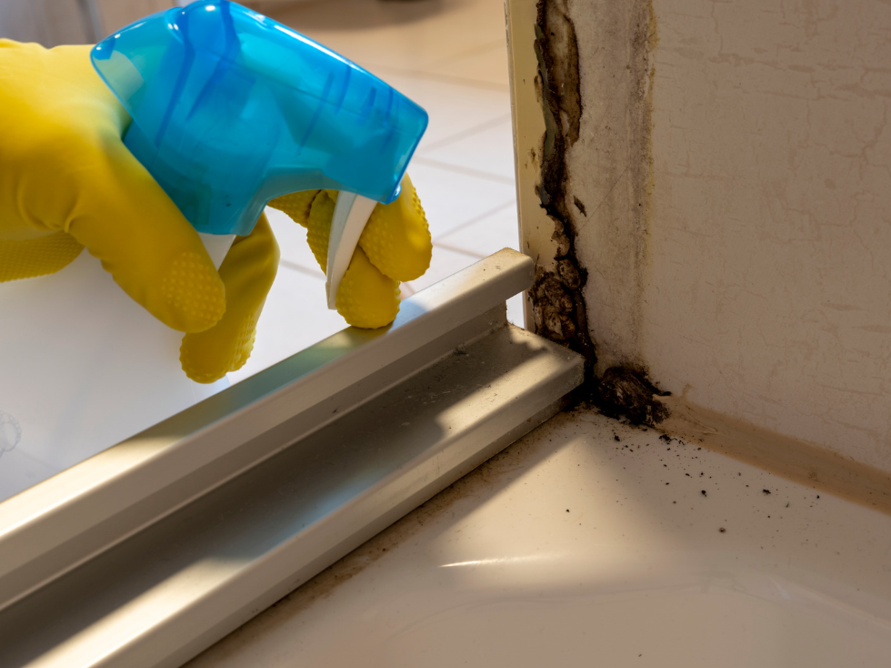 Ruka v gumové rukavici stříká čisticí přípravek na plesnivý silikon ve sprchovém koutě.