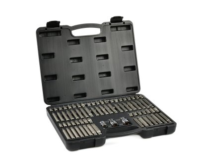 Sada bitů imbus torx spline 75ks G10036
