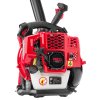 Benzinski leđni puhač za lišće i snijeg 3,8HP RTODL0059