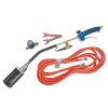 Arzător pe gaz profesional pentru acoperișuri 60 mm (70 cm + furtun 5 m + regulator) G20013