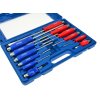 Set de șurubelnițe de lăcătușerie 12 buc CRV (geantă) G30585