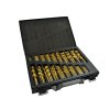Set 170 bucati burghie metal HSS TiN cu cutie G38219