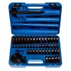 Set de unelte pentru montarea și demontarea rulmenților și a bucșelor, extractor bucșe rulmenți, adaptoare prese 18-74 mm 52 bucăți.