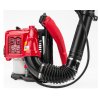 Fukar pe benzină pentru spate pentru frunze și zăpadă 3,8CP RTODL0059